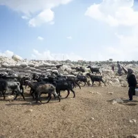 YAŞAM