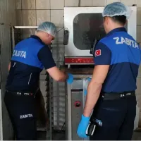 YAŞAM