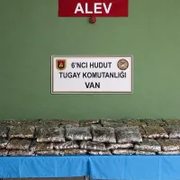 YAŞAM