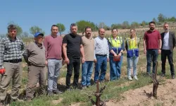 Denizli Büyükşehir üreticileri yalnız bırakmıyor