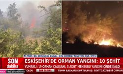 Eskişehir'de: 5 Orman Çalışanı ve 5 AKUT Mensubu Şehit Düştü