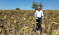 Tekirdağ Milletvekili Aygun’dan kuraklık için yasa teklifi