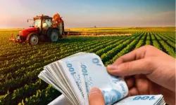 2,8 milyar TL'lik tarımsal destek ödemeleri hesaplarda