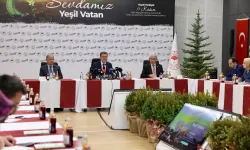 Türkiye, 'Yeşil Vatan' için düğmeye bastı