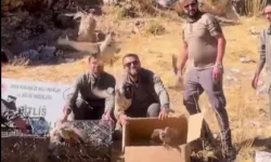 Bitlis'te keklik ticaretine darbe! 90 kınalı keklik doğaya salındı