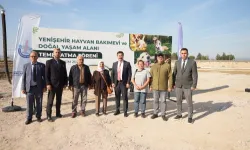 Bursa Yenişehir'e modern Hayvan Bakımevi