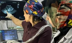 Fatih Belediyesi'nden sokak hayvanlarına modern tanı hizmeti