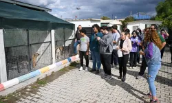 İzmir Bornova'da can dostlar için el ele