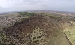 Keşan Sivritepe 11 Kasım'da yeniden ağaçlandırılacak