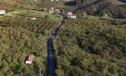 Sakarya Büyükşehir'den yeşilin tam ortasına dokunuş