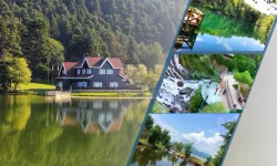 Tarım ve Orman Bakanlığı'ndan 'Milli Parklar' açıklaması: Talan iddiaları gerçeği yansıtmıyor!