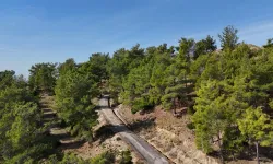 Antalya'da Hocalı'ya altyapı hamlesi