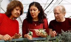 Antalya'da 'Tıbbi ve Aromatik Bitki Yetiştiriciliği' kursu ilgi görüyor