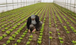 Balıkesir'de 'Tarım Modeli' ile çiftçiye destek