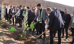 Bursaspor yönetimi ve futbolcuları Gürsu'da fidan dikti