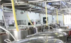 BUYSAD: Endüstriyel yemekte sadece fiyata odaklanılmamalı!