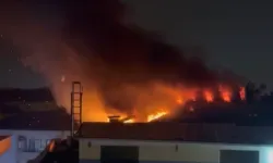 Düzce'de çatı katı yangını panikletti!