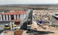 Eskişehir'de hayvan barınağında sona yaklaşılıyor