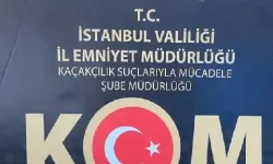 İstanbul'da tarihi eser kaçakçılığı operasyonu! 7 gözaltı