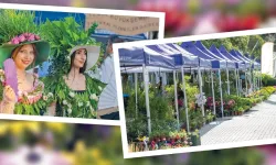 İzmir Balkon ve Bahçe Bitkileri Festivali'ne hazırlanıyor