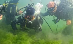 İzmit Körfezi'nde umut veren dalış... Başkan Büyükakın ve uzmanlar canlanan ekosisteme daldı