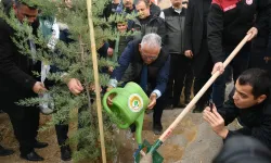 Kayseri Büyükşehir'den şehrin 'yeşil'ine dev yatırım