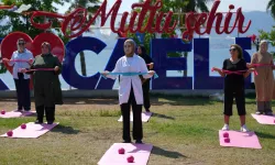 Kocaeli modeli Avrupa'da örnek gösterildi