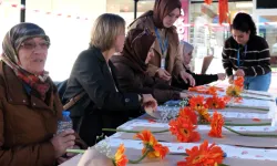 Kocaeli'den kadına şiddete turuncu farkındalık