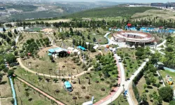 Kocaeli'nin dört bir yanı yeşile bürünüyor