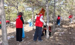 Konya Selçuklu'da çevre gündemde