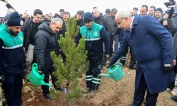 Malatya Beydağı'nda 10 bin 444 fidan toprakla buluştu