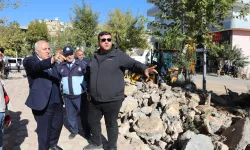 Mardin Yeşilli'de büyük dönüşüm... 50 bin ağaçlık yeşil hamle