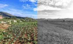 Mersin'de iklim ve yeşil dönüşüm önceliği