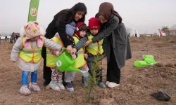 Milli Ağaçlandırma için hazırlıklar tamam