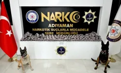 Adıyaman'da asayiş ve narkotik operasyonları: 55 şüpheli yakalandı, 9 tutuklama