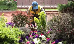 Ankara Keçiören'de seradan parklara uzanan yeşil yolculuk