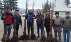 Bilecik Pazaryeri'nde 450 meyve fidanı çiftçilerle buluştu