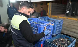 Bursa Gemlik Belediyesi'nden üreticiye destek