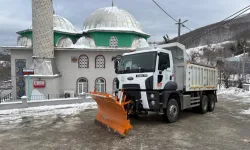 Bursa Nilüfer'de kar mesaisi