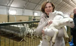 Eskişehir'de üreticilere iki ayrı destek paketi