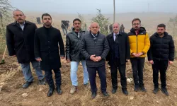 Kayseri Büyükşehir şehri yeşillendirmeye devam ediyor