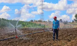 Kocaeli Toramanlar'da sulama suyu toprakla buluştu