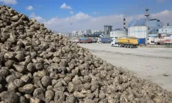 Konya Pancar Ekicileri bu yıl verimden memnun