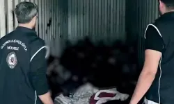 Mersin Limanı'nda konteynerde 44 düzensiz göçmen yakalandı