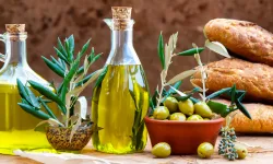 Zeytin ve zeytinyağı sektöründe güçler URGE Projesi'nde birleşiyor