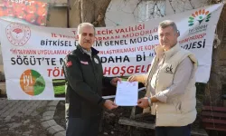 Bilecik Söğüt'te 'Marul Daha Bi İyi' projesi tamamlandı