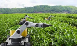 Kamu Teknoloji Platformu 2026'yı 'Kamusal Zekâ Yılı' ilan etti... Kamuda 'metal yaka' dönemi başlıyor