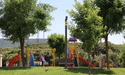 Muğla Büyükşehir'den yeşil alan hamlesi