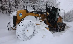 Sakarya'dan kar raporu