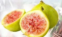 Balıkesir Büyükşehir'den incir fidanı desteği